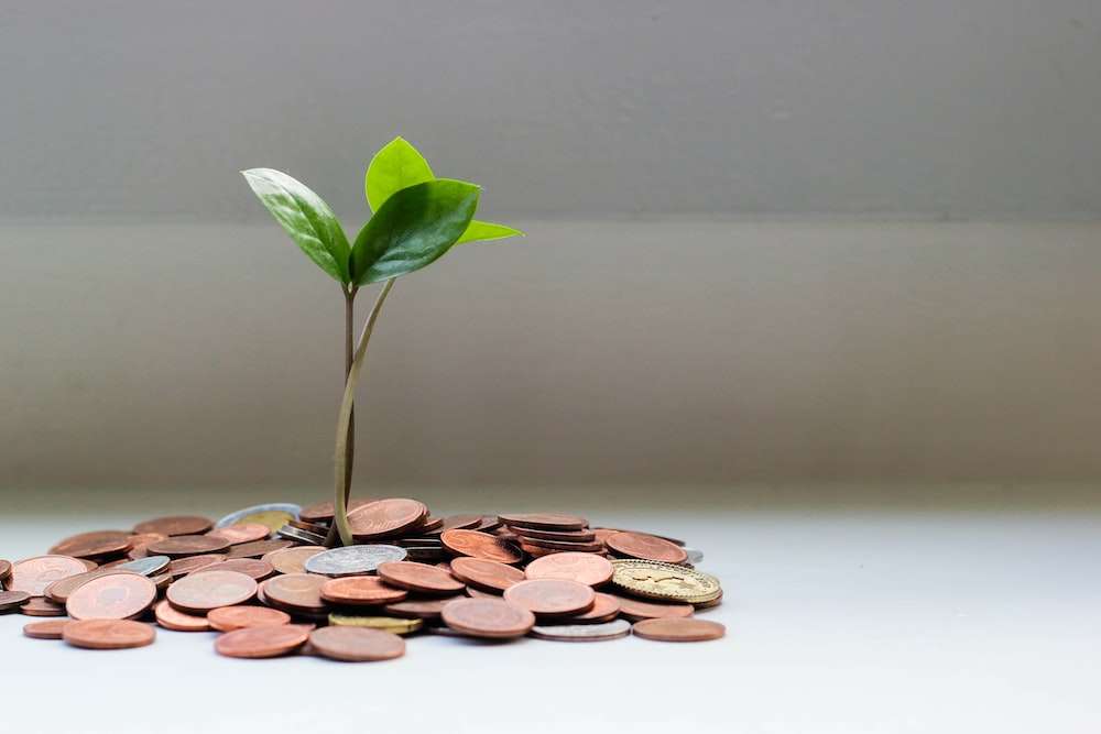 Plant growing from pile of coins.