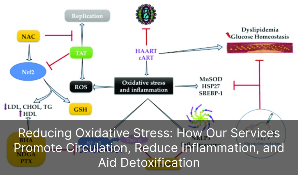 Reducing Oxidative Stress: How Our Services Promote Circulation, Reduce Inflammation, and Aid Detoxification