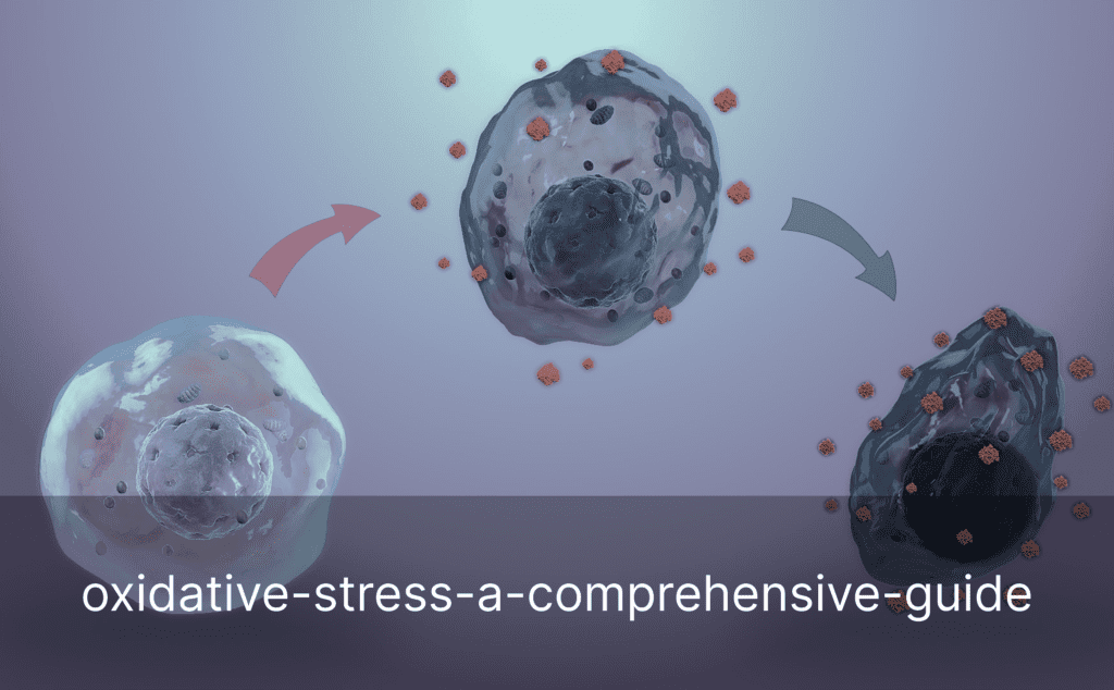 oxidative-stress-a-comprehensive-guide