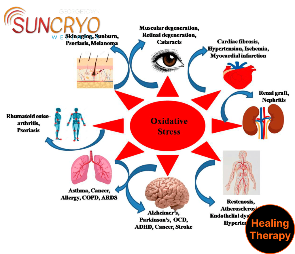 oxidative-stress-reduction-a-comprehensive-guide-to-wellness-in-washington-dc